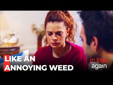 Vahit Corners Zeynep - In Love Again