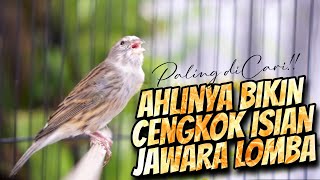 Download lagu PALING DICARI BIKIN CENGKOK ISIAN JUARA LOMBA - MASTERAN KENARI ISIAN BLACKTHROAT GACOR MUDAH DITIRU mp3 Download lagu PALING DICARI BIKIN CENGKOK ISIAN JUARA LOMBA - MASTERAN KENARI ISIAN BLACKTHROAT GACOR MUDAH DITIRU mp3