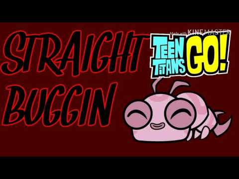 Silkie - Straight Buggin Teen Titans GO
