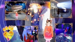 №2 Visiting Oceanarium ON THE RUSSIAN ISLAND, opened 6 September 2016 Гуляем по Океанариуму часть 1 - https://www.youtube.com/watch?v=klx-a39u6Js Гуляем по