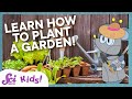 Let S Plant A Garden Squeaks Grows A Garden SciShow Kids