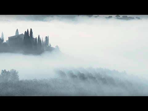 Los Cumbion -  El Curandero