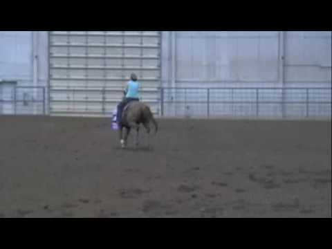 Royal Quick Colours - 1d @ Future Fortunes Mile Hi Classic Aug 2016