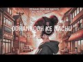 Odhani Odh Ke Nachu Slowed Reverb Hindi Lofi Song Lofi Song Lofimusic Salman Khan