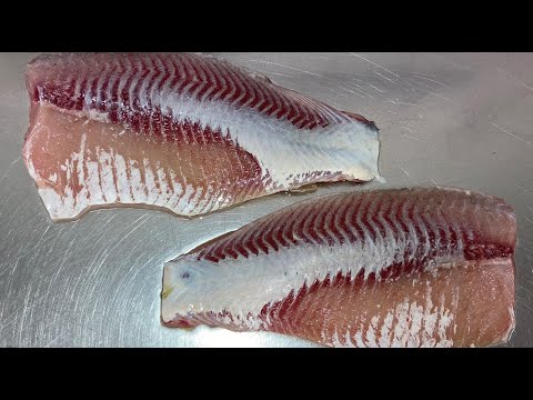 Filety z kapra bez kůže snadno a rychle      How to quickly and easily skin a carp fillet