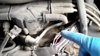 2003 Chevy Astrovan Code P0449 and P0455