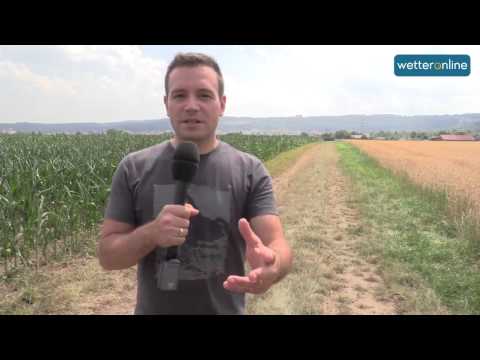 wetteronline.de: How severe the storms will be today (07.07.2015)