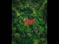Jimmy Cliff - Save Our Planet Earth (Lyrics cc)