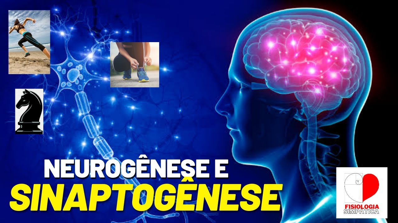 O QUE É NEUROGÊNESE, SINAPTOGÊNESE E NEUROPLASTICIDADE
