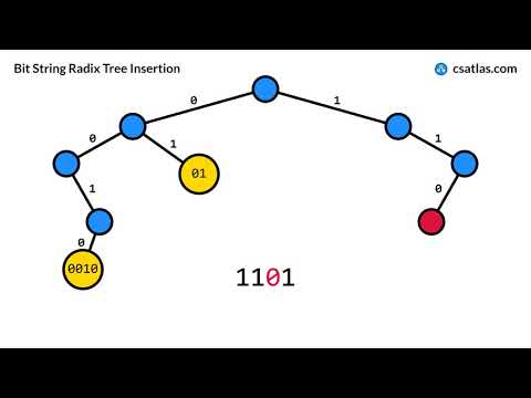 Bit String Radix Tree (Trie) Insertion