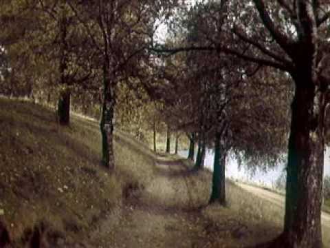 Осень в лесу (СССР)