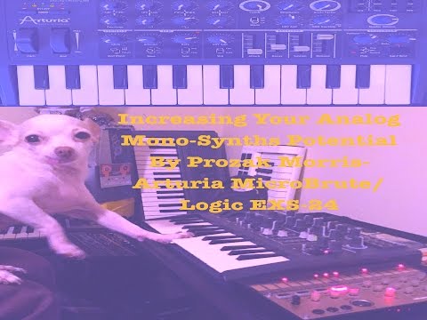 Increasing Your Analog Mono Synths Potential By Prozak Morris- Arturia MicroBrute/ Logic EXS24
