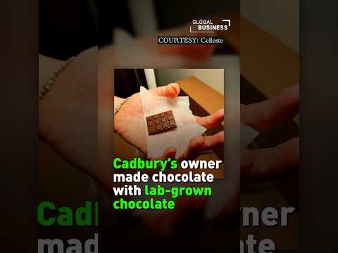 Chocolate brands begin to use lab grown cocoa