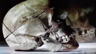 Over 1,000 African Skulls disturbingly On Display in European Museums...dark colonial history.