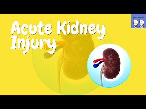 Acute Kidney Injury [Pathophysiology, Pre-renal AKI, Intrarenal AKI, Post-renal AKI]