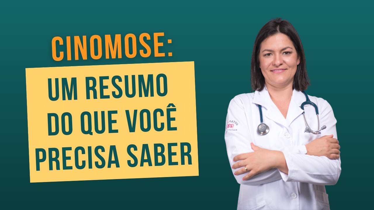 Cinomose: um resumo do que você precisa saber