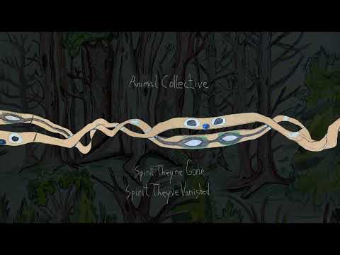 Animal Collective - Chocolate Girl (Remastered 2023) (Official Audio)