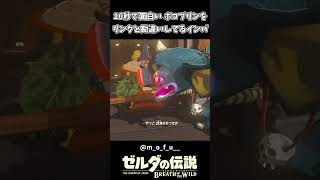 ボコブリンをリンクと勘違いしてるインパｗｗ【ゼルダの伝説 ブレス オブ ザ ワイルド】