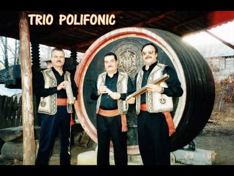 Trio Polifonic - Fa, mandruto, sezatoare