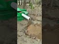 How To Make Bio Gas At Home With Cow Dung Krishi O Krishok