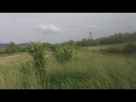 Tren în sebis cu mecanic de treaba