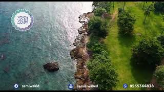 امرأة توفي زوجها || فتاوى عامة || د. سامي الواكد image