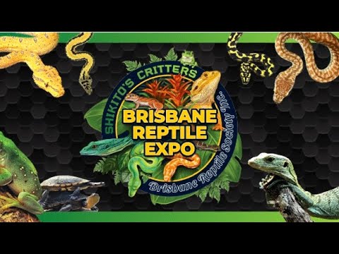 Brisbane Reptile Expo 2025