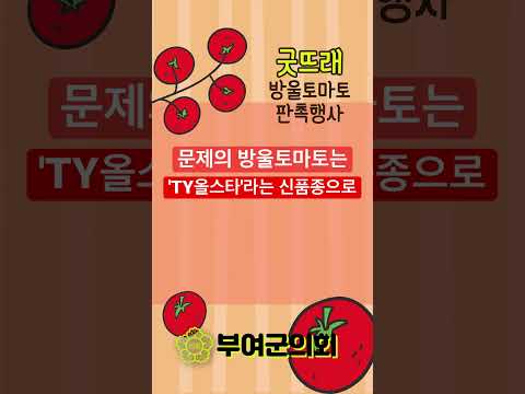 [부여군의회] 굿뜨래 방울토마토 안심하고드세요~