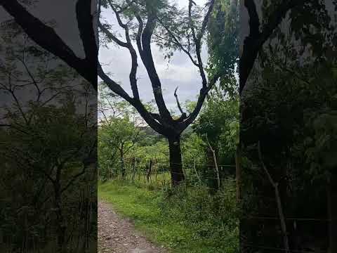 La "Peña Alta", San Isidro, Cabañas. #travel #elsalvadorimpresionante #nature #turismo