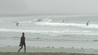 Tofino needs vertical evacuation towers for peak-tourist season, finds report