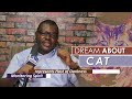 DREAM ABOUT CAT Find Out The Biblical Dream Meaning