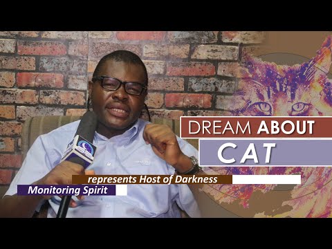 DREAM ABOUT CAT  - Find Out The Biblical Dream Meaning