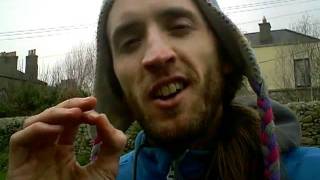 The magical Benefits of the wild Dandelion for your TREMENDOUS health!! :D - Owen fox