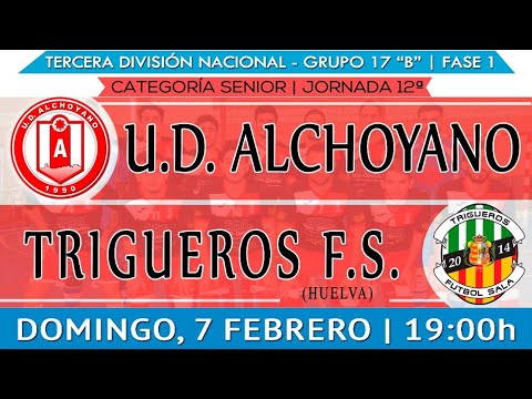 Jornada 12: UD Alchoyano - Trigueros F.S, 3ª División Nacional, Grupo 17 "B", Temporada 2020/21
