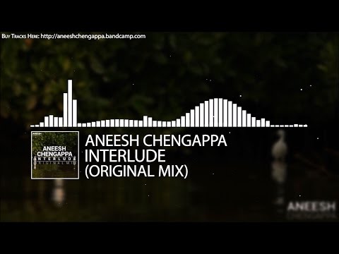 Aneesh Chengappa - Interlude