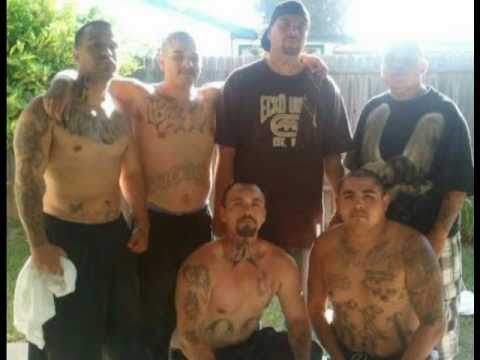 COLONIA CHIQUES "IMA RIDAH" FROGGY