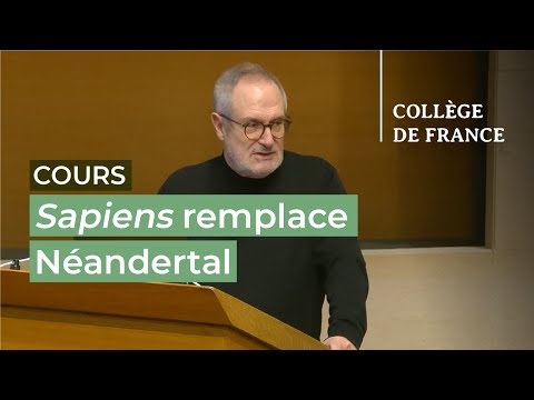 Sapiens remplace Néandertal (3/6)