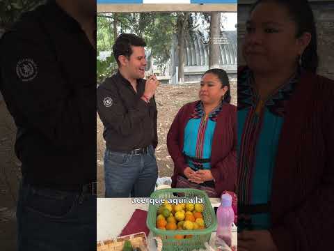 Ping, pong en la Feria del Agricultor