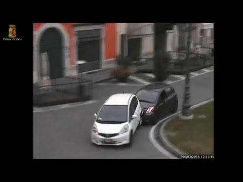 Pannolini dellanca Hip trattamento di artrite nei cani