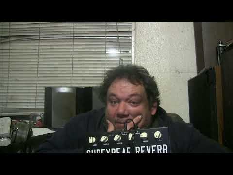 The Truth about the Surfy Bear reverb pedal