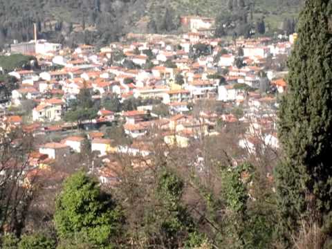 Gran premio Citta di Camaiore 2013   quinto giro