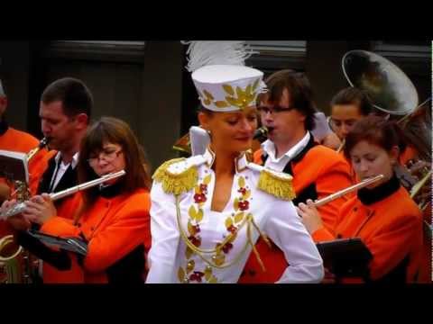 Raimonds Pauls - Man nav laika