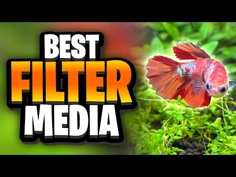 The Best Aquarium Filter Media Explained: How This Cheap Filter Media Maintains Water Parameters!