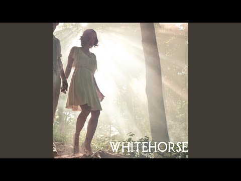 Night Owls - Whitehorse