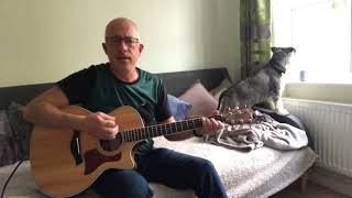 Fragile Thing (Big Country) Acoustic Cover