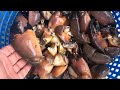 Cooking some Louisiana Stone Crab Claws My Way 