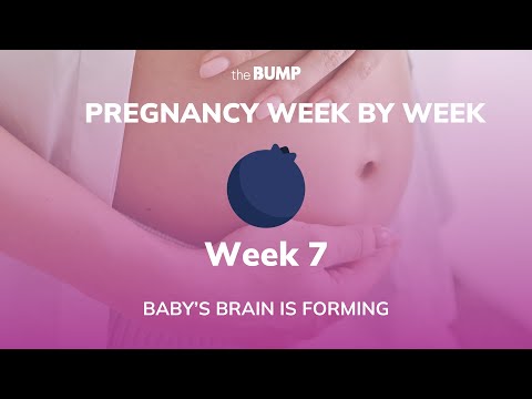 This week in Babyland (Week 7)