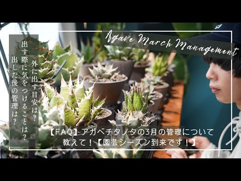 園芸 月のガーデニングに関するよくある質問