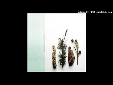 Angelo Harmsworth - Pure Imitation of Speed