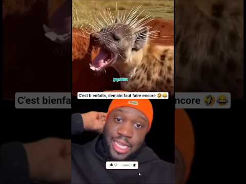 Cette scène m'a détruite, regarder bien 😭🤣